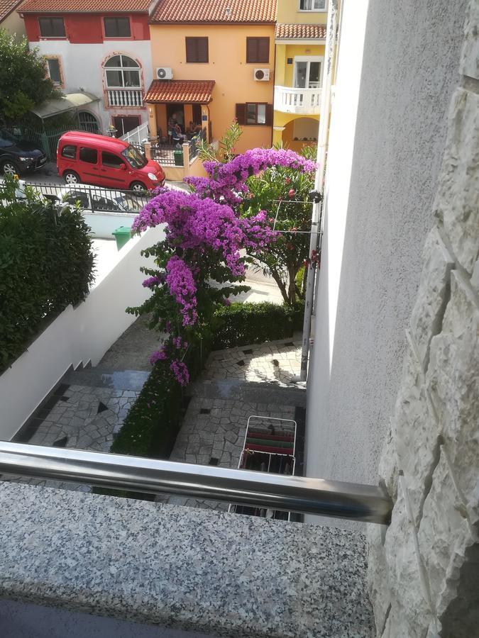 Pejic *